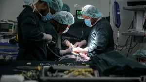 Surgeons perform live AI-assisted brain surgery to remove a brain tumour